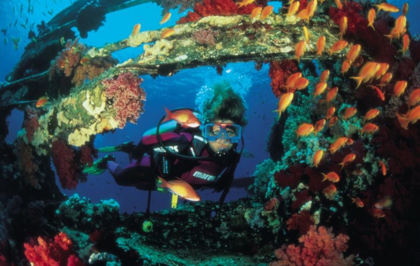 Day Scuba Diving Tour From Sharm EL Sheikh