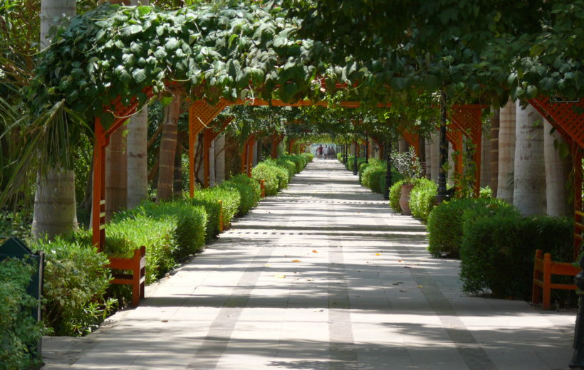 Botanical garden Tour in Aswan by Boat