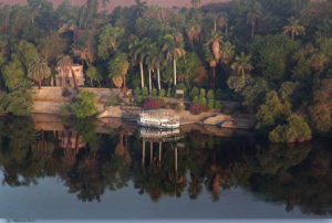 Gallery Thumbnail 0