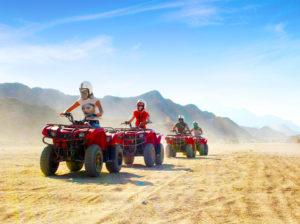 Gallery Thumbnail 3
