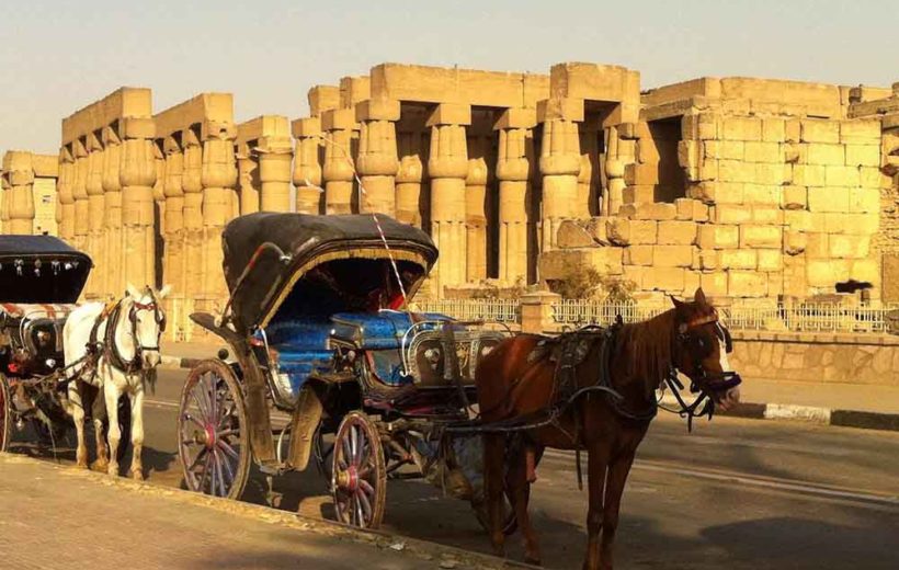 Luxor City tour by horse carriage