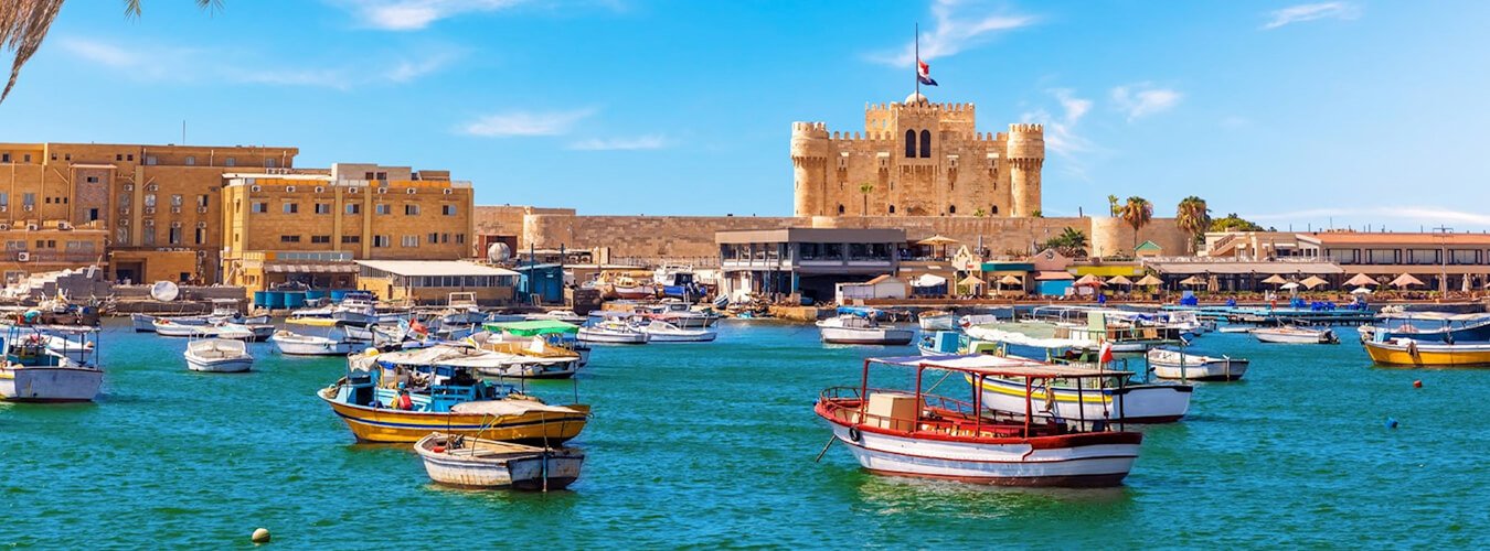 Why Choose Daily Pyramids Tours for Your Alexandria Day Tour?